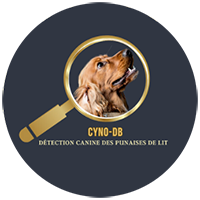 Cyno détéction Canine